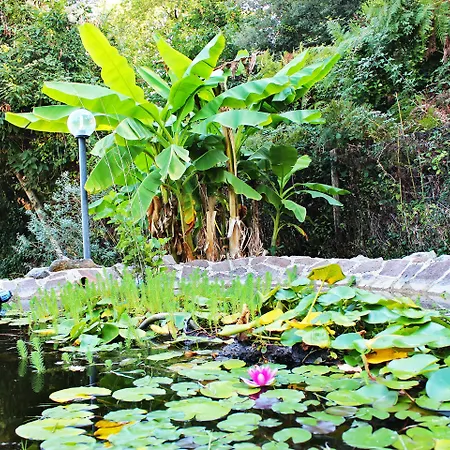 Verdeblu Country Hotel San Giovanni a Piro